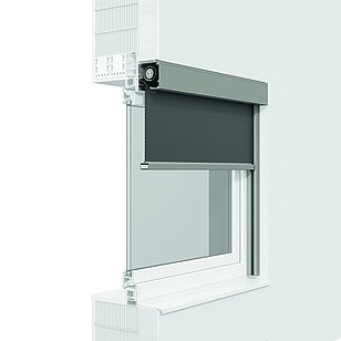 zipSCREEN 2 QUADRO Systemquerschnitt Behang kurz zipSCREEN.2 Basis QUADRO