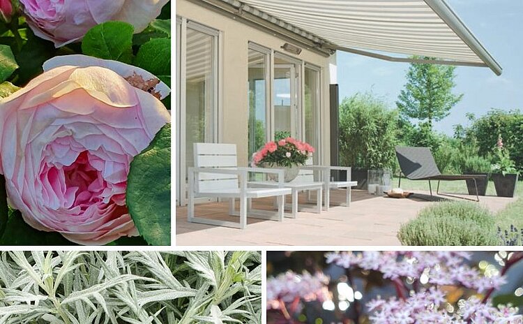 Garten-Collage